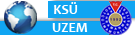 UZAKTEN EĞİTİM(UZEM)